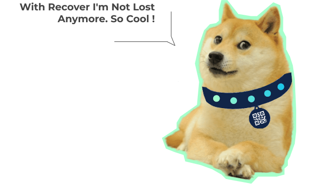 Doge with QrCode